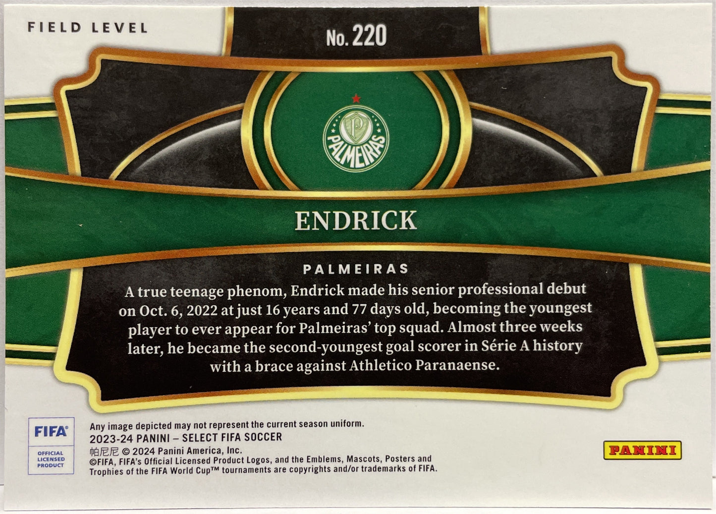Endrick Rookie Field Level Panini Select Fifa 2023/24