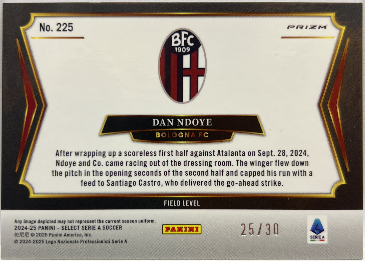 Dan Ndoye 25/30 Field Level Winter Camo Select Serie A 2024/25