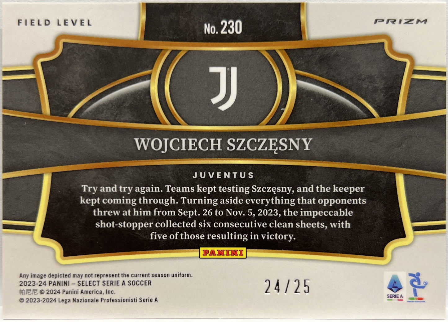 Wojciech Szczesny 24/25 Field Level Tye Die Select Serie A 2023/24