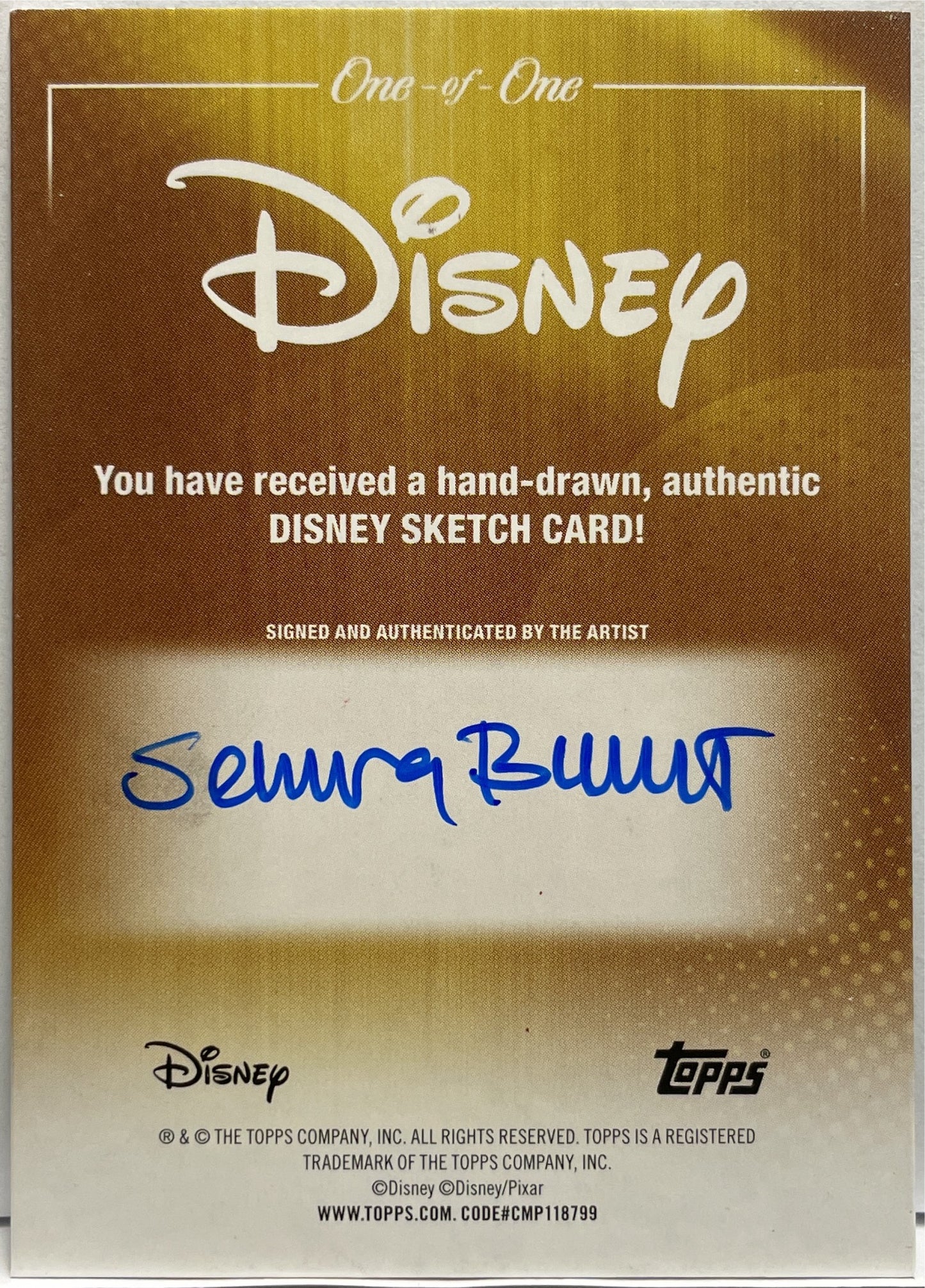Pocahontas 1/1 Sketch Autograph Disney Wonder 2025