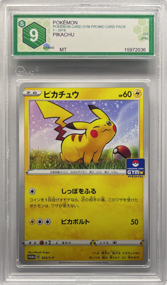 GRAAD 9 - Pikachu Jap - Pokemon Card Gym Promo Pack 2019