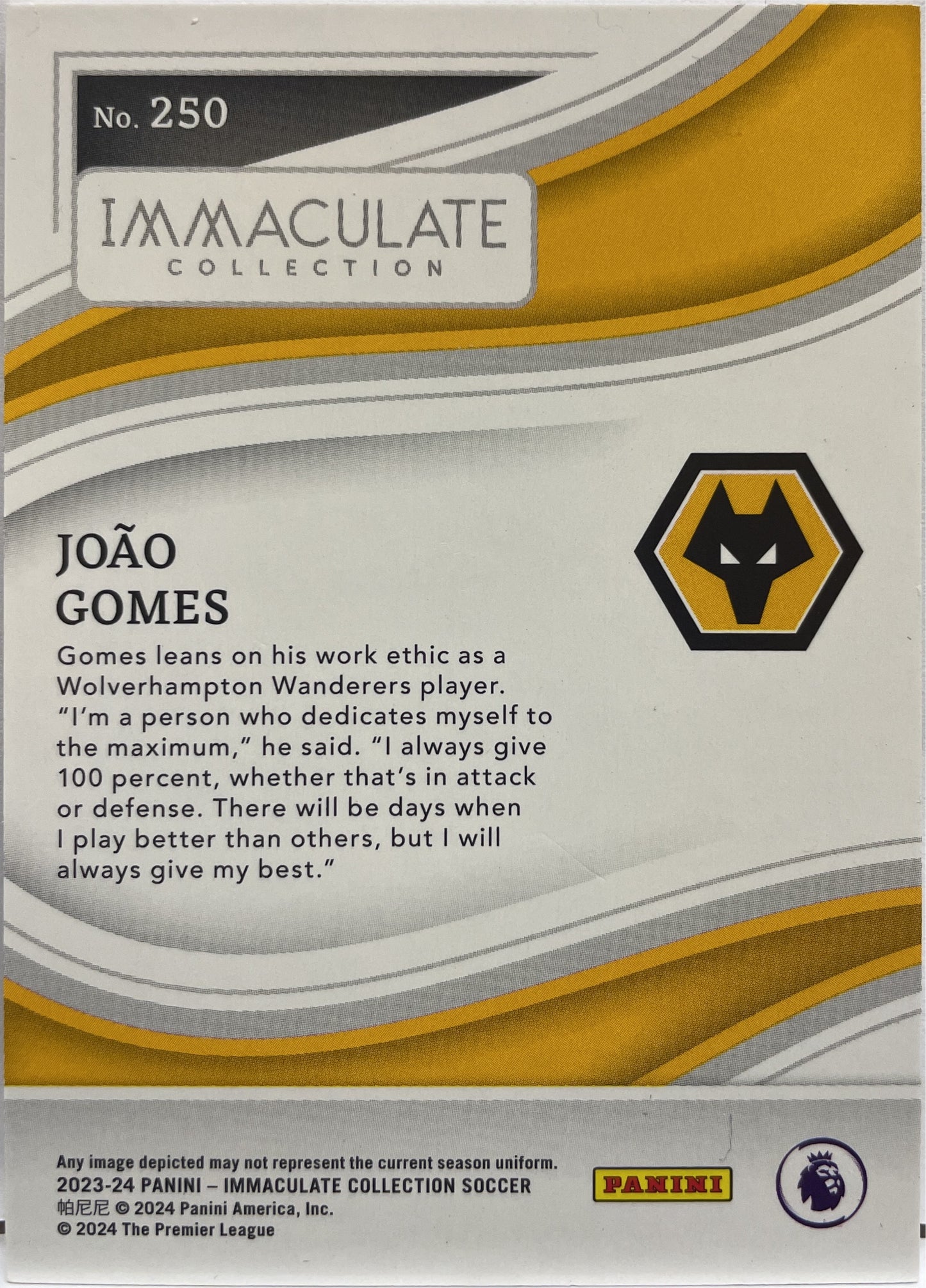 Joao Gomes 28/60 Rookie Immaculate Collection 2023/24