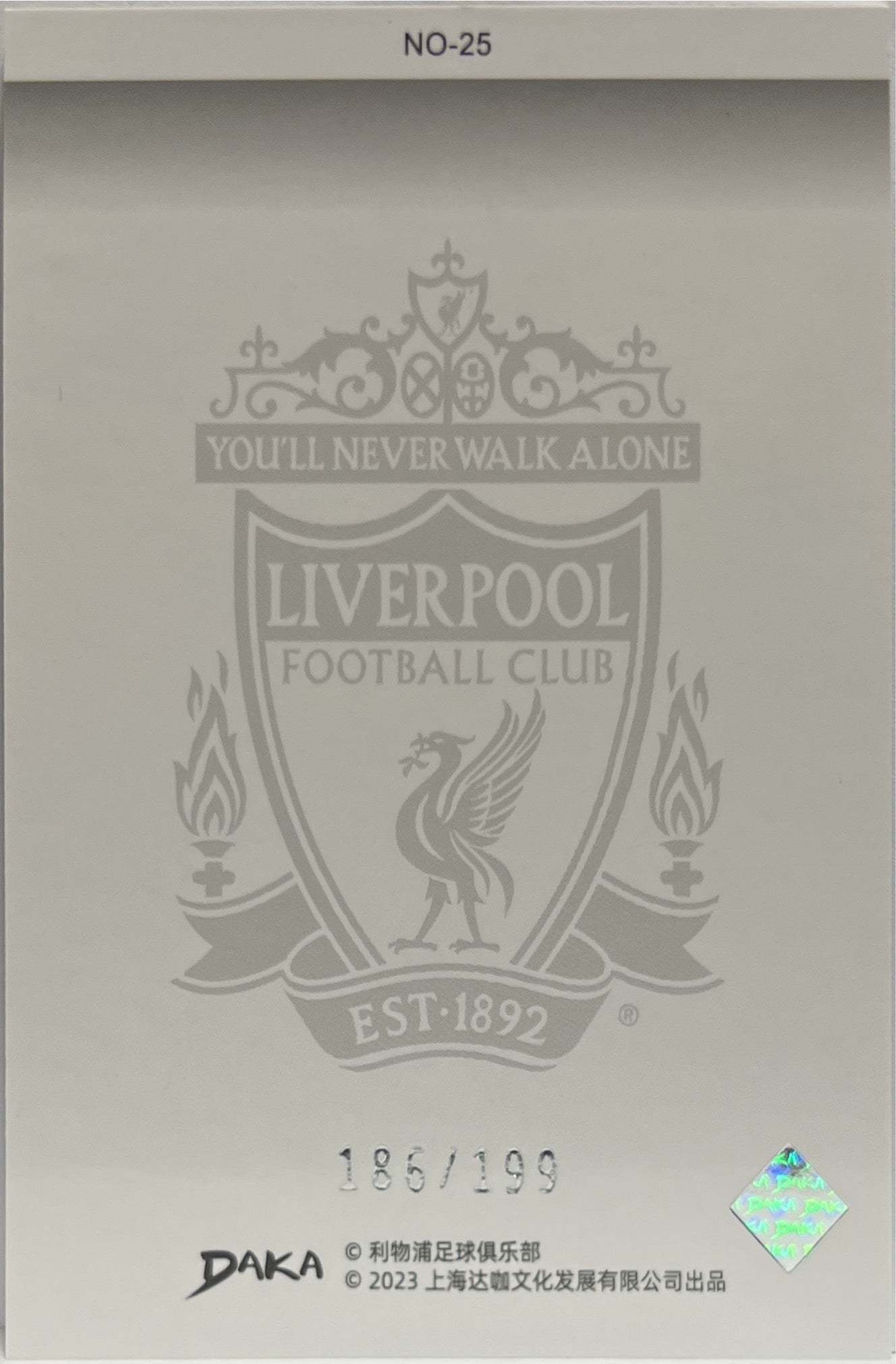 Logo Badge 186/199 Holocene Daka Liverpool 2022/23