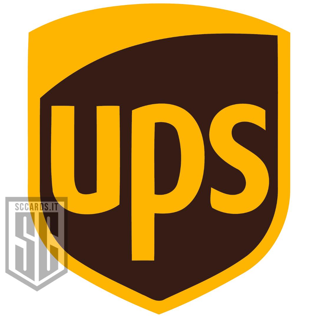 UPS Shipment Italy
